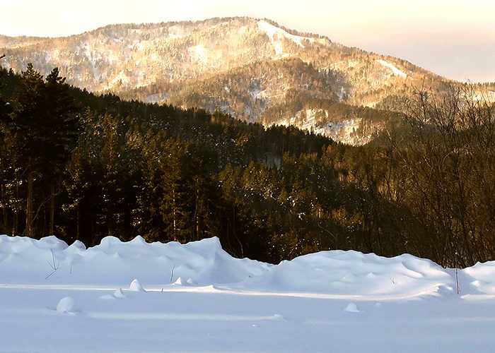 Маралы ждут туристов