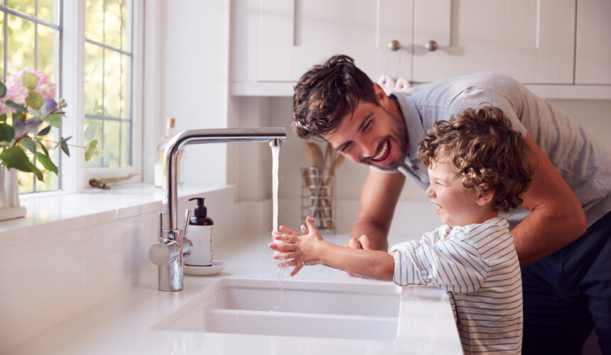 Повелители «домашних артерий»